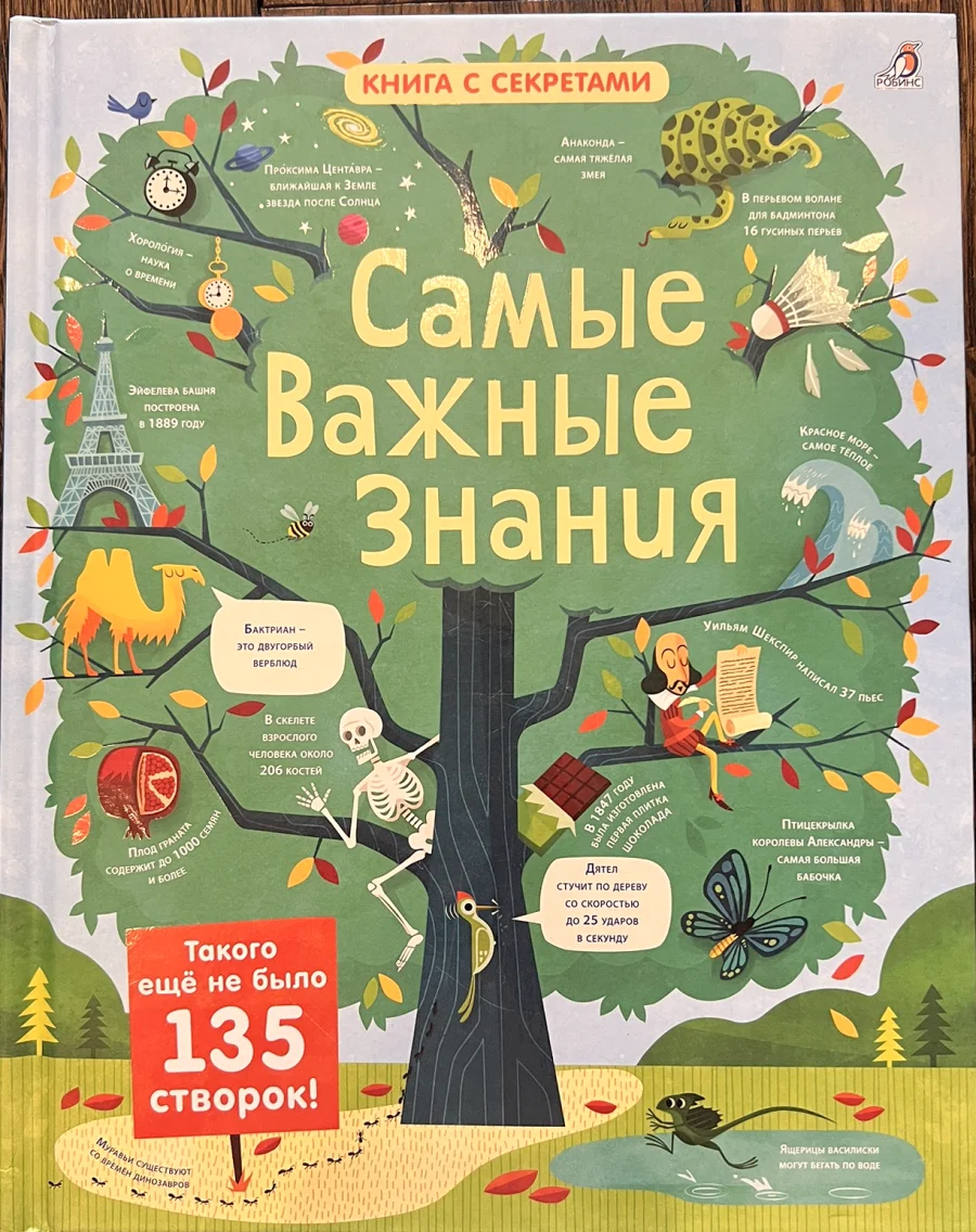 Обложка книги «Самые важные знания»